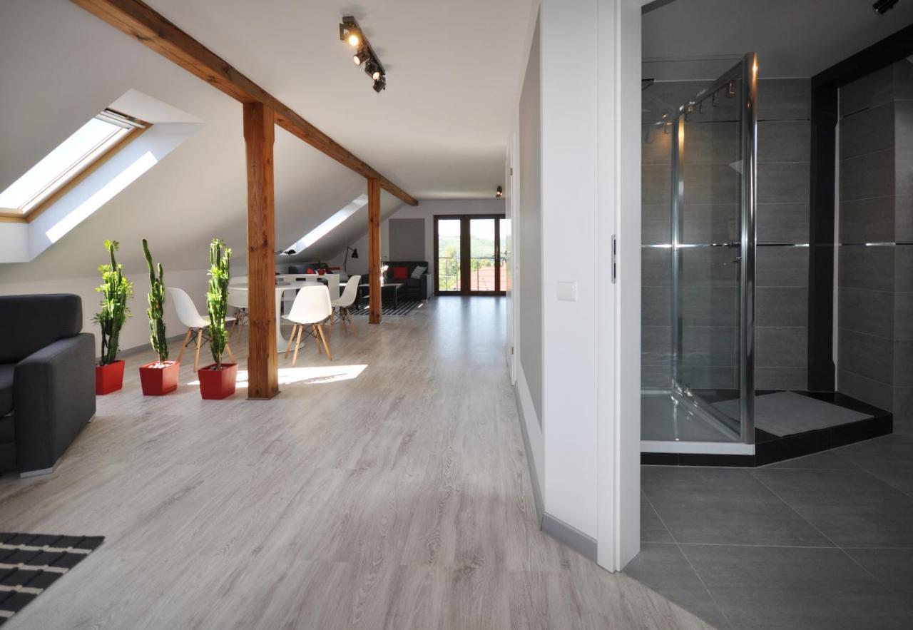 Apartament Widok Na Karkonosze Apartment Jezow Sudecki Luaran gambar